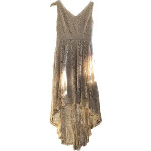 Romantic Lace High Low Dress